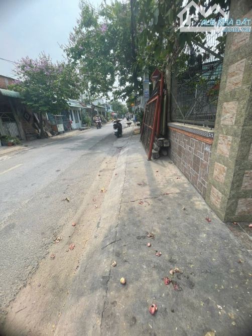 MẶT TIỀN ĐƯỜNG KINH DOANH 8X23 TAM ĐÔNG 25 TRỊNH THỊ MIẾNG DIỆN TÍCH LỚN GIÁ RẺ - 3