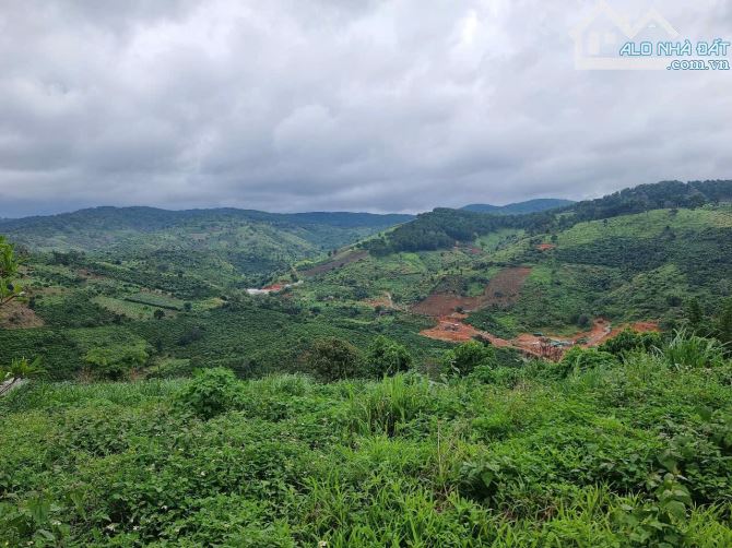 Cần bán đất Tà Nung Tp Đà Lạt  ngay chân đều view rừng  thông tuyệt đẹp - 3