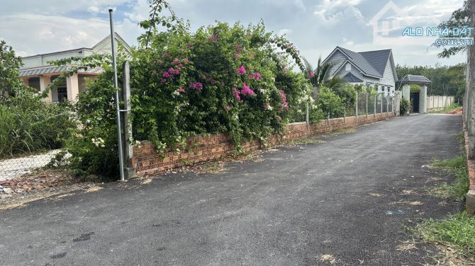 chính chủ kẹt tiền bán 10mét ngang đất sổ hồng đường tỉnh lộ 2 - 3