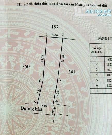 Đất Kiệt Ô Tô 257 Chi Lăng - Phường Gia Hội - Cách Đường Chính Chỉ 80m - 4