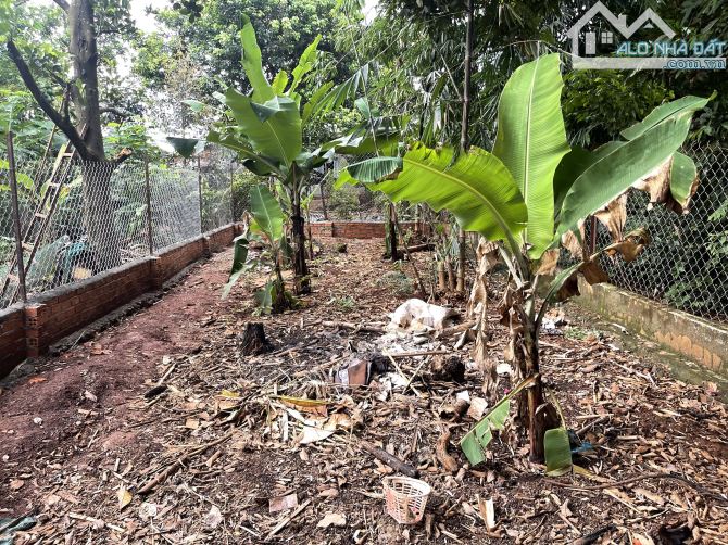 💥Đất TC 5*52m,Đường B4,Phạm Ngũ Lão thôn 6,gần Vành Đai,nhiều lô khác - 4