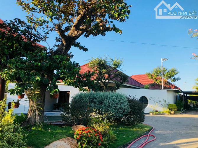 Cơ Hội Vàng Sở Hữu  Dự Án Biệt Thự Sinh Thái Biển Phan Thiết Bình Thuận - 120ha Chỉ 950 Tỷ - 4