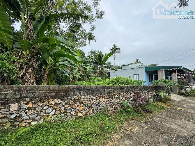 389m Full Đất Ở Đô Thị Trấn Bo - Mặt Tiền 15m Sâu 26m - View Cánh Đồng - 4