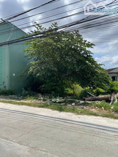 Bán Đất Mặt Tiền Phú Trung Ngang 7,5m Đường Lớn Giá Tốt - 4
