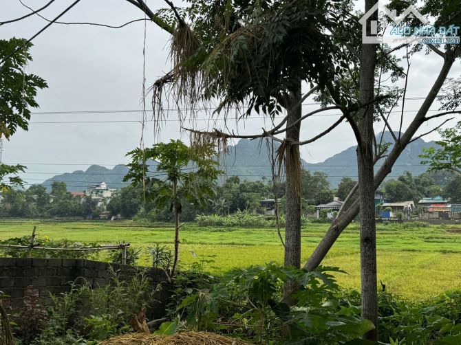 389m Full Đất Ở Đô Thị Trấn Bo - Mặt Tiền 15m Sâu 26m - View Cánh Đồng - 5