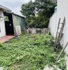 🏡 LÔ ĐẤT ĐẸP SIÊU HIẾM 42M2 – VĨNH NGỌC, ĐÔNG ANH
