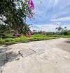 Bán lô GÓC phường Hoàng Lâm - Thuỷ Nguyên ✅ cách 203 30m 👉 giá 1,8 tỷ