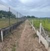 Bán đất nhà vườn huyện Củ Chi - Giá siêu hời