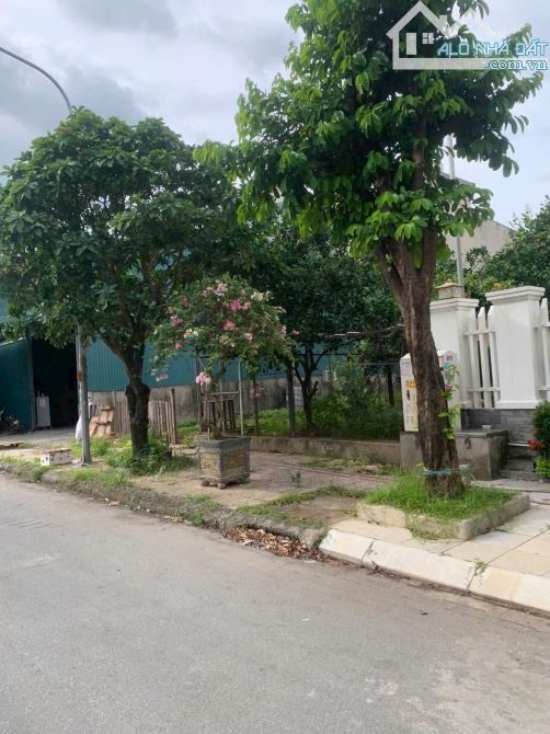 BÁN NHANH LÔ ĐẤT NHÌN VƯỜN HOA NGAY TRUNG TÂM TT LIM - BÃI LÁN - LỘ BAO .