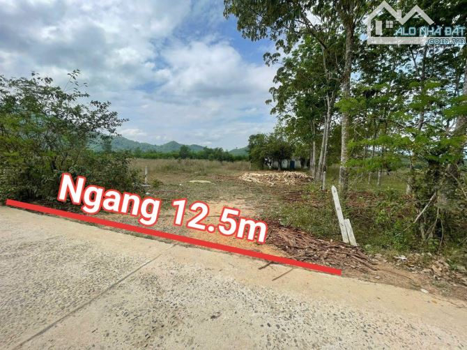 Bán đất vườn Khánh Đông giá rẻ quy hoạch full thổ cư gần trường tiểu học
