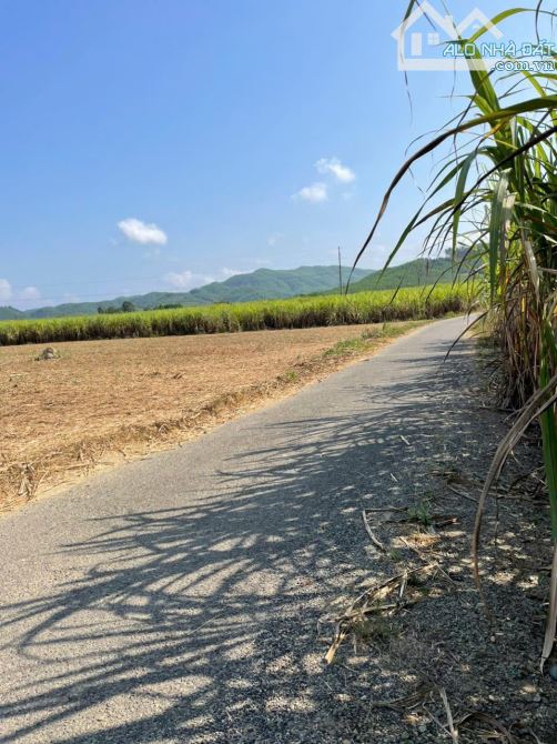 Bán đất đẹp thôn Hòn dù , xã Khánh Nam , Huyện Khánh Vĩnh Diện tích: 1,1 hecta ( ngang 80m