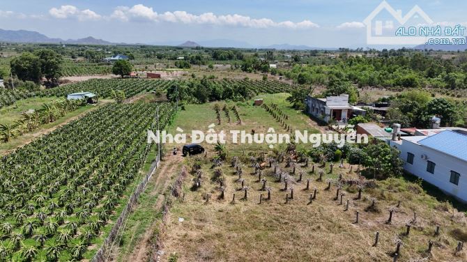 Bán Đất Vườn Lagi, Bình Thuận Vị Trí Đẹp Gần Khu Du Lịch