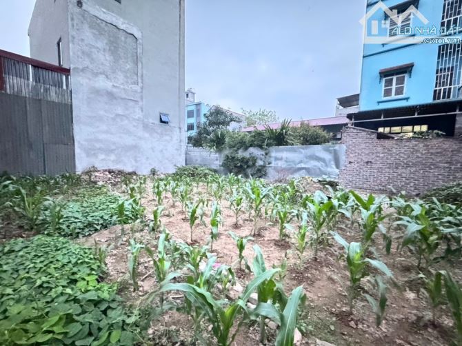 💥 GẦN PHỐ – GẦN SÔNG – GẦN CẦU – SÁT ĐƯỜNG LỚN - 180M² LÔ ĐẤT ĐẸP VĨNH NGỌC ĐÔNG ANH