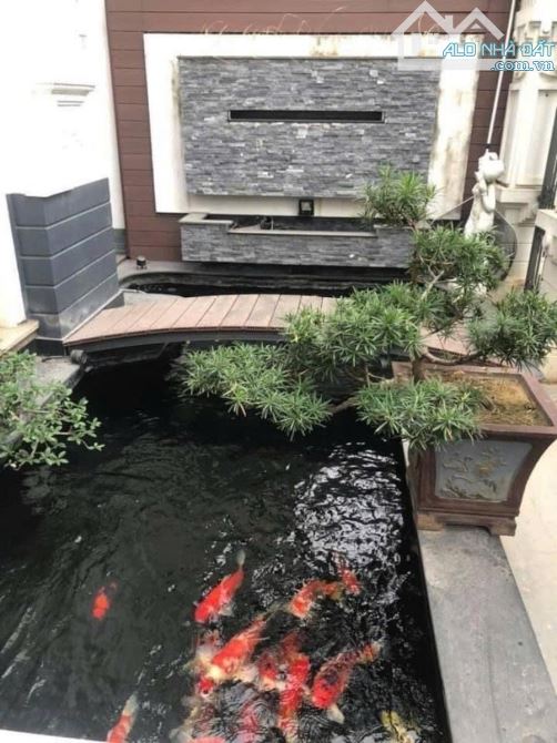 Bán Biệt Thự KĐT Việt Hưng 240m2 MT 14m 4 Tầng Thang Máy, Kinh Doanh Đỉnh