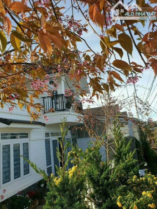 🌟 HOT! Villa MẶT TIỀN ĐẸP NHẤT  ĐƯỜNG Ô TÔ 8M – VIEW ĐẸP 🌟 - 3