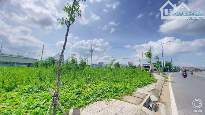 Cho thuê đất 840 mặt tiền Hoàng Quốc Việt  35 triệu - 11