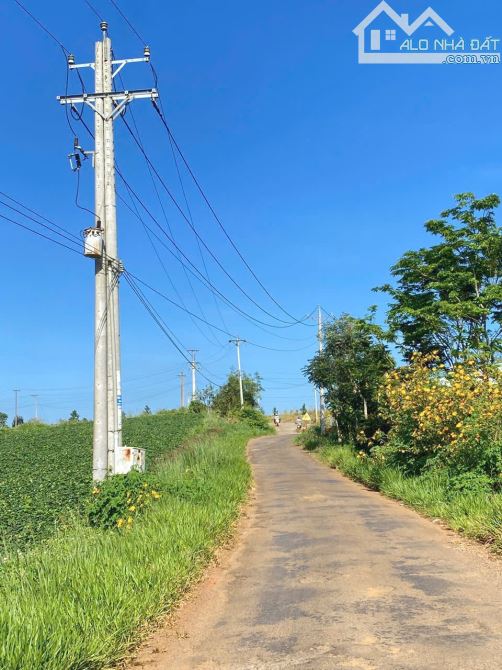 💎💎SIÊU PHẨM! Bán đất Lý Thái Tổ Dambri, phường 2 Bảo Lộc⛔️Có 250m mặt tiền - 1