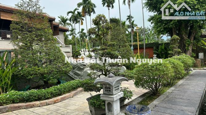 Bán Biệt Thự Vườn Lái Thiêu, Tp Hồ Chí Minh Không Giang Tuyệt Vời - 1