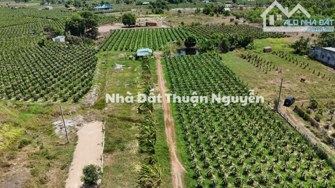 Bán Đất Vườn Lagi, Bình Thuận Vị Trí Đẹp Gần Khu Du Lịch - 1