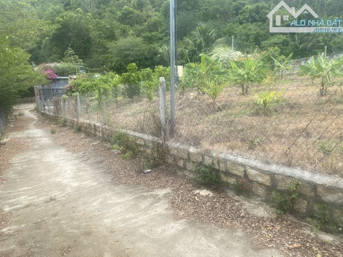CẦN BÁN LÔ ĐẤT TẠI HẺM MAI THỊ DÕNG, HÒN NGHÊ 2, VĨNH NGỌC, NHA TRANG - 2