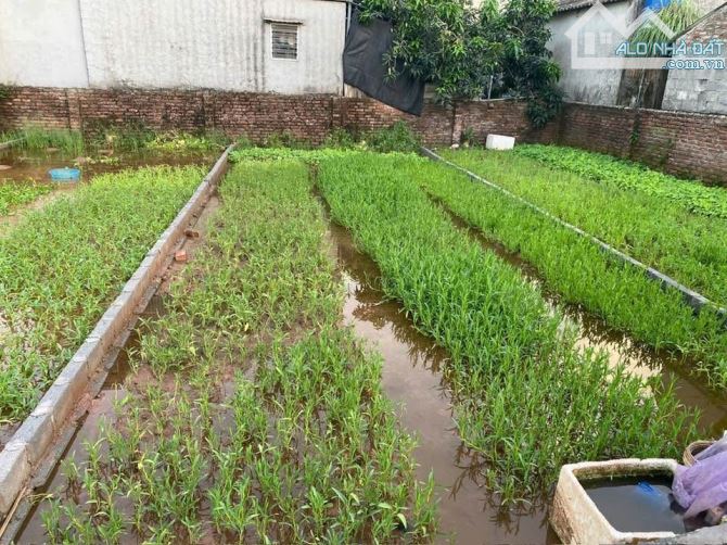 Cân bán 60,7 đất đẹp giá ko đắt rất thấp ko lỗi lầm - 2