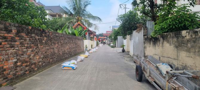 THẬT KO TIN ĐƯỢC- ĐẤT ĐẸP - NỘI PHẬT - ĐÔNG XUÂN - SÓC SƠN - 2