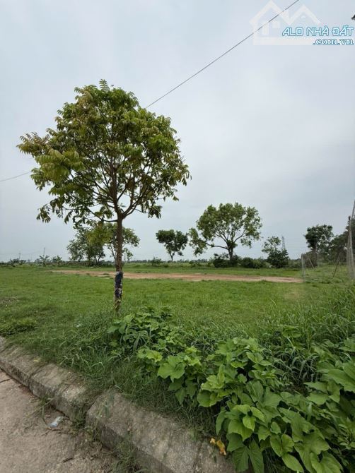💥CẦN BÁN GẤP 💥ĐẤU GIÁ NGHĨA ĐẠO-GIÁP VIN-100M-2TY75 - 2