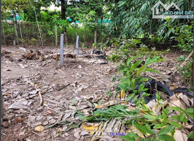 🔰 Bán nền: 176m² (5m x 35m, thổ 100%) 🔰 Đường Tràm Dơi (Ngã Tư Cầu Rạch Miễu) TT Mỹ Thọ. - 2