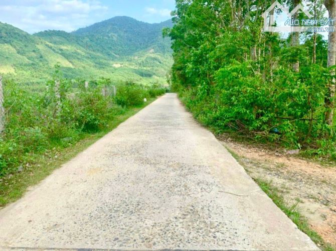 Bán đất vườn Khánh Đông giá rẻ quy hoạch full thổ cư gần trường tiểu học - 2