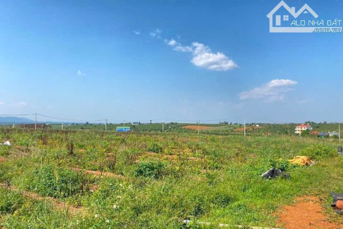 💎💎SIÊU PHẨM! Bán đất Lý Thái Tổ Dambri, phường 2 Bảo Lộc⛔️Có 250m mặt tiền - 2