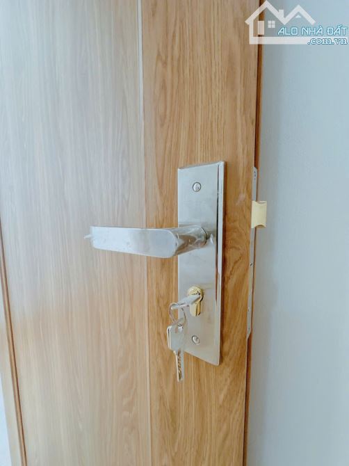 Cần bán biệt thự 4 tầng 8*20m, full nội thất, siêu đẹp khu K300 Cộng Hòa, Tân Bình, chỉ 42 - 2