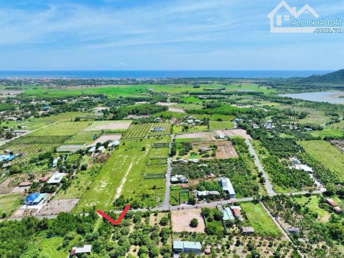 BÁN VƯỜN XOÀI ĐẸP GẦN HỒ SỞ BÔNG - GẦN BIỂN PHƯỚC HẢI – TT PHƯỚC HẢI – BRVT GIÁ 2T2 - 2