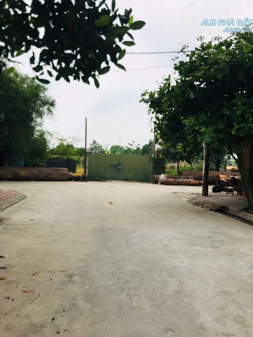 ĐẤT ĐẤU GIÁ LỖ KHÊ - LIÊN HÀ, 66M2 THÔNG Ô TÔ TRÁNH, SÁT TRỤC LIÊN XÃ. - 2