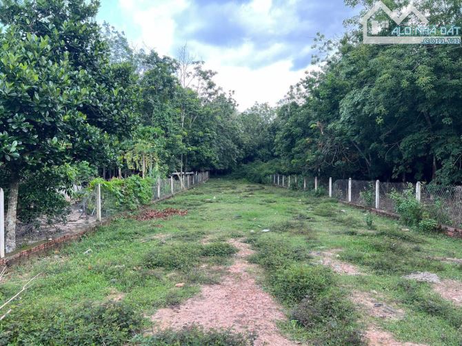 Bán Đất Mặt Tiền Đường Võ Thị Bàng, Xã Phú Mỹ Hưng, Củ Chi, 1009m², giá chỉ 4.2 tỷ - 2