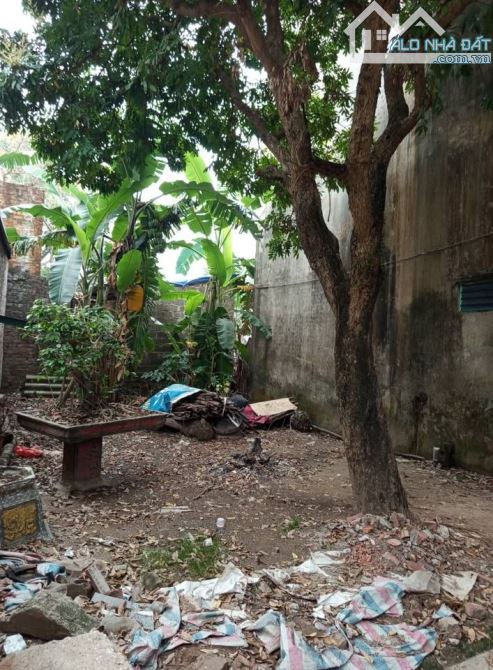 Chính Chủ cắt lỗ gửi bán gấp đất Biên Giang, Hà Đông 50m2 MT4.1m ô tô rẻ hơn 300 triệu - 2