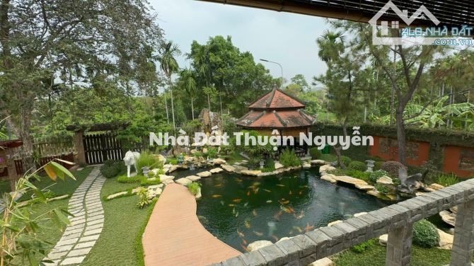 Bán Biệt Thự Vườn Lái Thiêu, Tp Hồ Chí Minh Không Giang Tuyệt Vời - 2