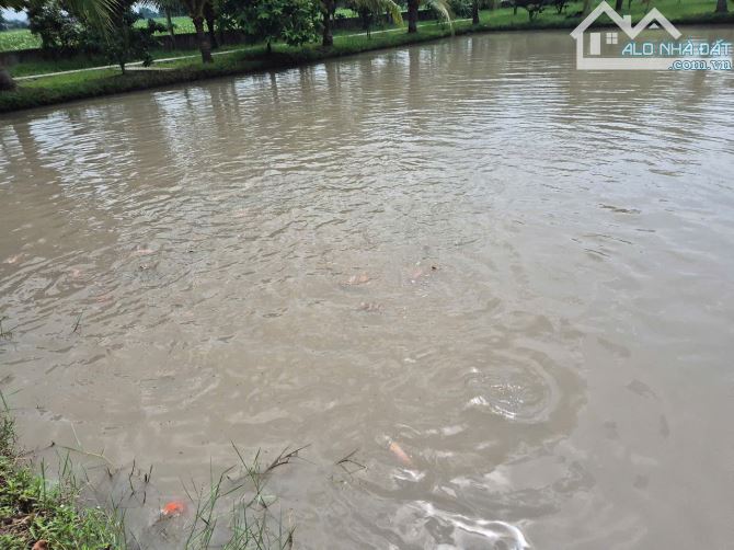 Bán nhà vườn 4800m2, gần đường Hồ Chí Minh, Xã An Ninh Đông, Đức Hòa, Long An. Giá 8.5 tỷ - 2