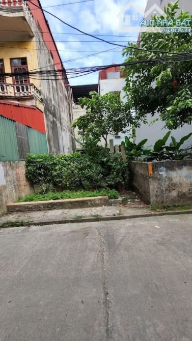 Bán 62m2 đất ngay ngã 3 Đông Mỹ, phân lô ô tô tải vào đất, mặt ngõ thông - 2