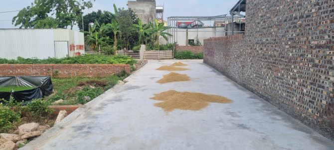 THẬT KO TIN ĐƯỢC- ĐẤT ĐẸP - NỘI PHẬT - ĐÔNG XUÂN - SÓC SƠN - 2