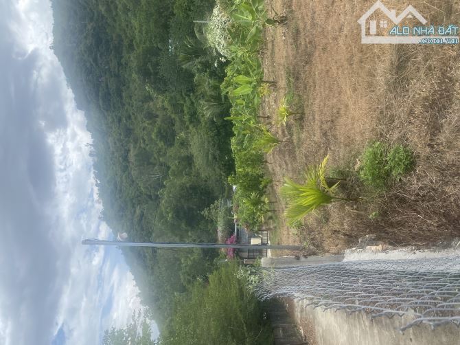 CẦN BÁN LÔ ĐẤT TẠI HẺM MAI THỊ DÕNG, HÒN NGHÊ 2, VĨNH NGỌC, NHA TRANG - 3