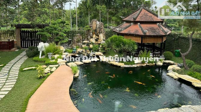 Bán Biệt Thự Vườn Lái Thiêu, Tp Hồ Chí Minh Không Giang Tuyệt Vời - 3