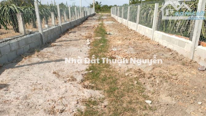 Bán Đất Vườn Lagi, Bình Thuận Vị Trí Đẹp Gần Khu Du Lịch - 3