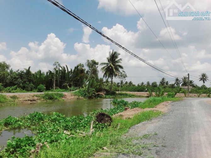 Quá ngộp, 1068m2 đất vườn 20x 53m, View kênh chỉ 820tr - 4