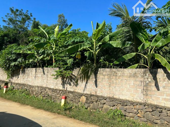 ĐẤT VIEW HỒ THANH SƠN, LƯƠNG SƠN, HOÀ BÌNH DT 290M2 GIẢ CHỈ NHỈNH 1 TỶ - 6