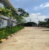 X085 nhà xưởng kết cấu kiên cố. Chuyển nhượng liền. Đang có dòng tiền ổn định