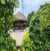 Bán nhà vườn 4800m2, gần đường Hồ Chí Minh, Xã An Ninh Đông, Đức Hòa, Long An. Giá 8.5 tỷ