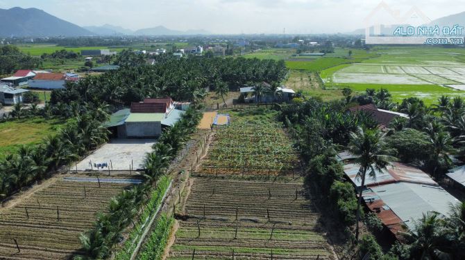 Cần chuyển nhượng lô đất nằm góc 2 mặt đường, thôn Tây 3, Diên Sơn, Diên Khánh, Khánh Hòa. - 5