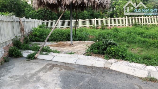 Bán Đất- Xã Minh Phú(Sóc Sơn)- 117M2- 1,8 Tỷ - Ô Tô Vào Tận Đất