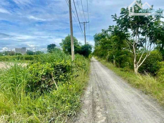 Bán lô đất đường xe hơi 6m Lý Nhơn, xã Lý Nhơn, Cần Giờ 2,6tỷ