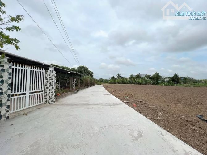 💎Bán 585m2 đất xây nhà vườn Gò Tre, Phường Long Thuận gần chợ Long Thuận